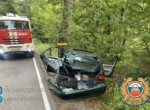 В Черняховском районе автомобиль Mercedes врезался в дерево
