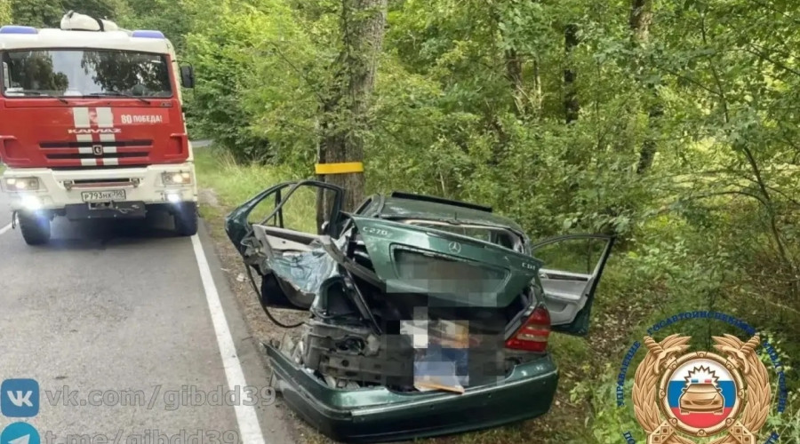 В Черняховском районе автомобиль Mercedes врезался в дерево