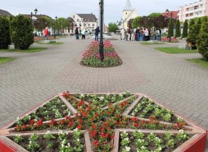 В Гвардейске планируется высадить 18 тысяч однолетних цветов