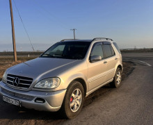 Mercedes-Benz Другая , 2001
