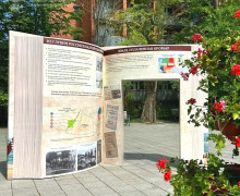 Познавательные инсталляции появились в центре Зеленоградска к 80-летию региона