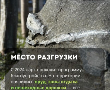 В парке «Сосновка» под Зеленоградском сохранились редкие растения и руины старинной усадьбы