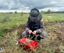 В Нестеровском районе при добыче торфа нашли авиабомбу