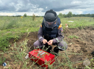 В Нестеровском районе при добыче торфа нашли авиабомбу