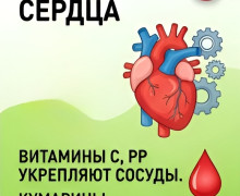 Роскачество рассказало о полезных свойствах вишни