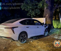 В Калининграде на Аллее Смелых автомобиль столкнулся с деревом, водитель скончался