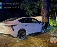 В Калининграде на Аллее Смелых автомобиль столкнулся с деревом, водитель скончался