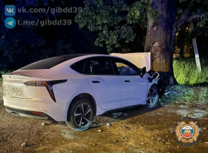 В Калининграде на Аллее Смелых автомобиль столкнулся с деревом, водитель скончался