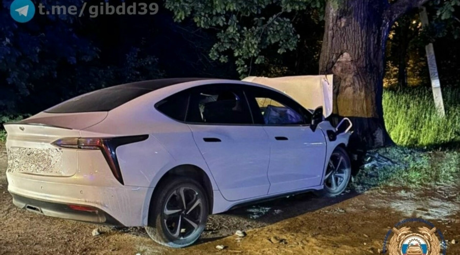 В Калининграде на Аллее Смелых автомобиль столкнулся с деревом, водитель скончался