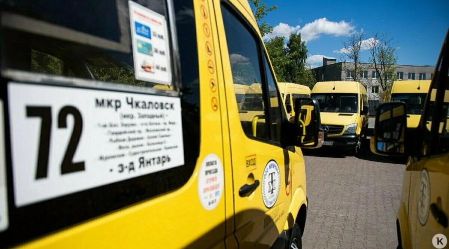 В Калининграде перевозчика маршрутки №72 проверят после жалоб на редкие рейсы