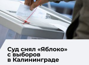Суд в Калининграде отменил регистрацию списка «Яблока» на выборах в областной парламент