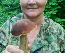 Калининградский эксперт объяснил, можно ли есть червивые грибы