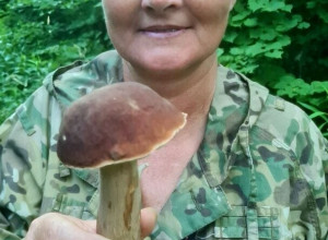 Калининградский эксперт объяснил, можно ли есть червивые грибы