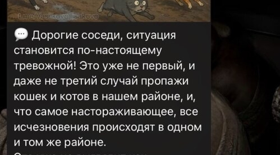 В двух поселках под Калининградом пропало более десяти домашних кошек