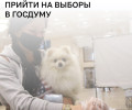 ВЦИОМ: 54% опрошенных намерены прийти на выборы, прогнозируемая явка — 51–53%