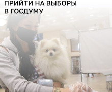ВЦИОМ: 54% опрошенных намерены прийти на выборы, прогнозируемая явка — 51–53%
