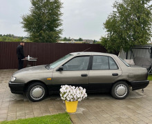 Nissan Sunny, 