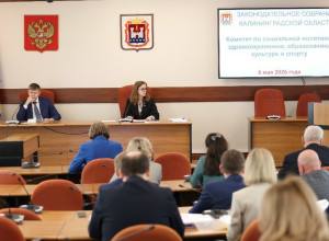 Ирина Ткаченко отчиталась о 843 обращениях, поступивших к детскому омбудсмену в 2025 году