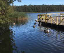 Озеро Чайка