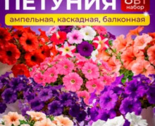 Продам петунии ампельные балконные, тайдалы, шок вейв