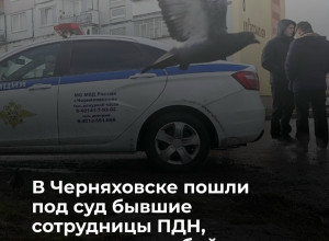 Бывших сотрудниц ПДН из Черняховска будут судить за халатность, повлекшую гибель ребенка