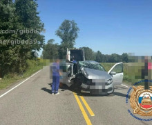 В Гусевском округе автомобилист, отвлекшись от управления, совершил наезд на дерево