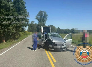 В Гусевском округе автомобилист, отвлекшись от управления, совершил наезд на дерево