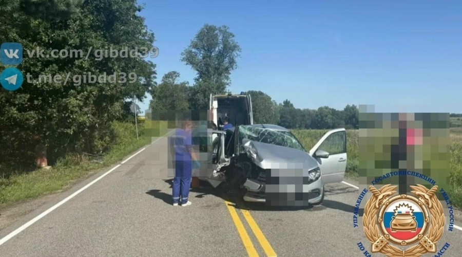В Гусевском округе автомобилист, отвлекшись от управления, совершил наезд на дерево