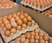 В Калининградской области перед Пасхой снизились цены на развесные яйца