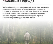 С начала года более 4 тысяч жителей Калининградской области обратились к врачам из-за укусов клещей