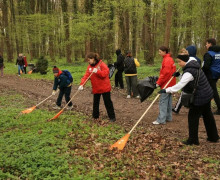 Калининград присоединился к Всероссийскому субботнику: в городских парках высадили новые пихты