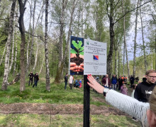 В Чкаловском лесу высадили 250 саженцев дуба и ели