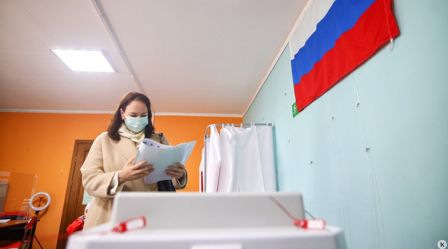 Калининградцы могут подать заявку на дистанционное электронное голосование через портал госуслуг