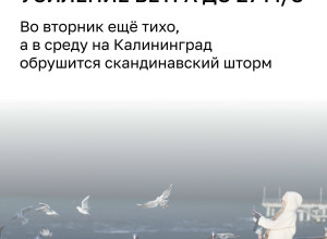 МЧС предупреждает: в Калининградской области 7 июля ожидаются кратковременные дожди