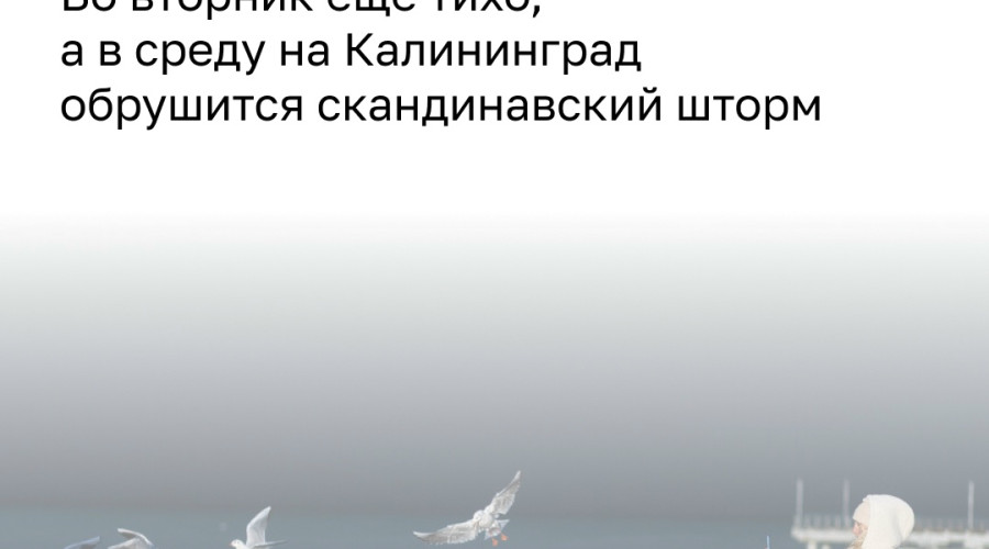 МЧС предупреждает: в Калининградской области 7 июля ожидаются кратковременные дожди