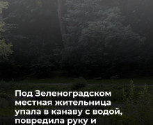 В Сосновке спасатели вытащили женщину из придорожной канавы