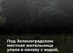 В Сосновке спасатели вытащили женщину из придорожной канавы