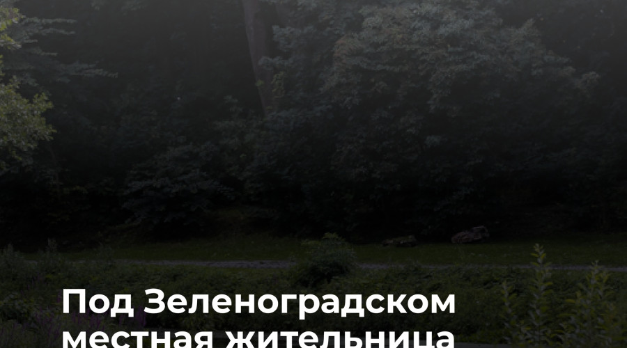 В Сосновке спасатели вытащили женщину из придорожной канавы