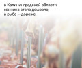 В Калининградской области в мае 2026 года продовольственные товары подешевели на 1,05% по сравнению с апрелем