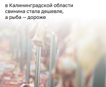 В Калининградской области в мае 2026 года продовольственные товары подешевели на 1,05% по сравнению с апрелем