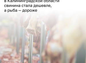 В Калининградской области в мае 2026 года продовольственные товары подешевели на 1,05% по сравнению с апрелем