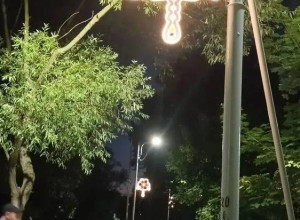 В Калининграде вокруг Летнего озера установили световые магнолии