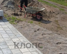 Ссора соседей в посёлке под Зеленоградском привела к избиению и возбуждению уголовного дела