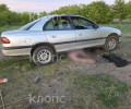 В Калининградской области женщина без прав переехала отдыхающего на берегу залива
