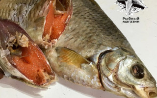 Морская звезда, магазин рыбы и разливного пива