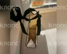 В Калининграде 15-летняя девочка отправила соседям видео убийства котёнка и оставила у двери пакет с его телом