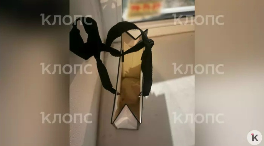 В Калининграде 15-летняя девочка отправила соседям видео убийства котёнка и оставила у двери пакет с его телом