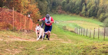 Калининградская сборная завоевала три медали на чемпионате СЗФО по ездовому спорту