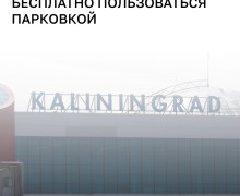 В Калининграде с 1 ноября многодетные семьи смогут бесплатно парковаться