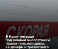 В Калининграде под окнами многоэтажки обнаружены тела трёх членов одной семьи